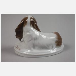 Rosenthal kleiner "King Charles-Hund"