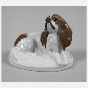 Rosenthal kleiner "King Charles-Hund"