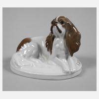 Rosenthal kleiner "King Charles-Hund"111