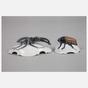 Rosenthal lebensgroßer Maikäfer und Hirschkäfer