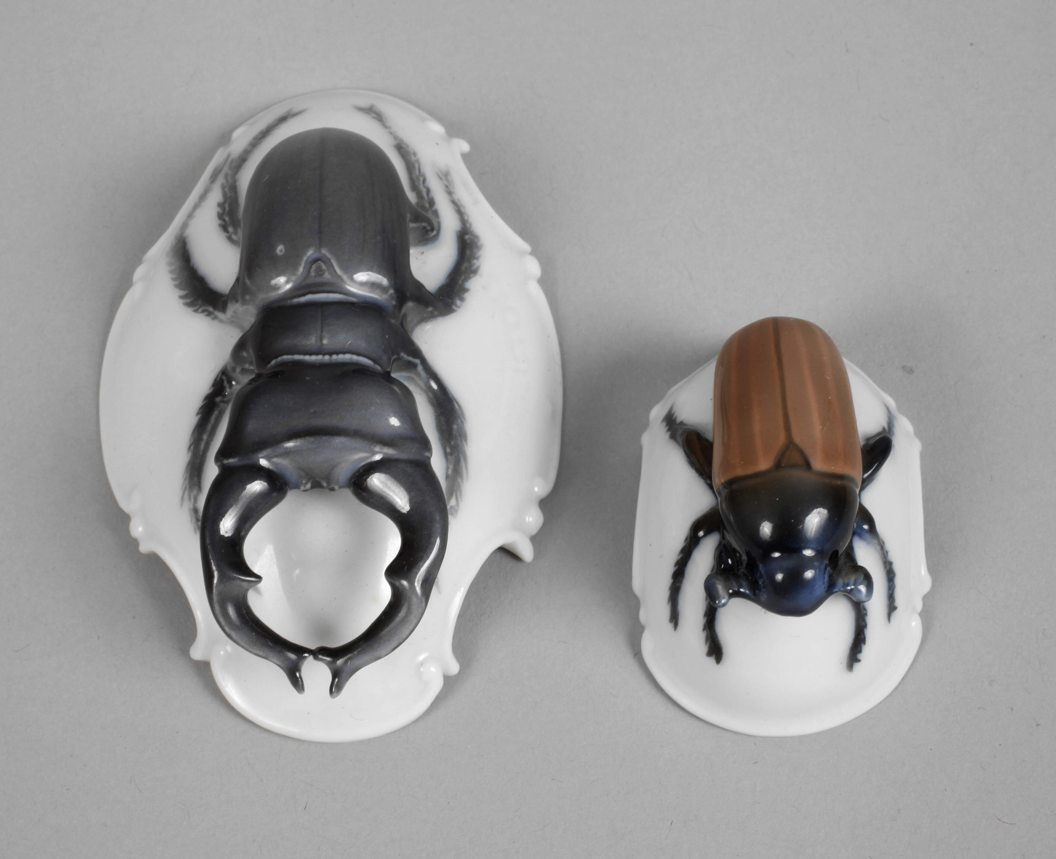 Rosenthal lebensgroßer Maikäfer und Hirschkäfer