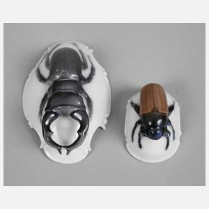 Rosenthal lebensgroßer Maikäfer und Hirschkäfer