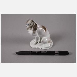 Rosenthal kleiner "King Charles Spaniel"