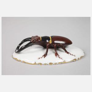 Rosenthal lebensgroßer Hirschkäfer