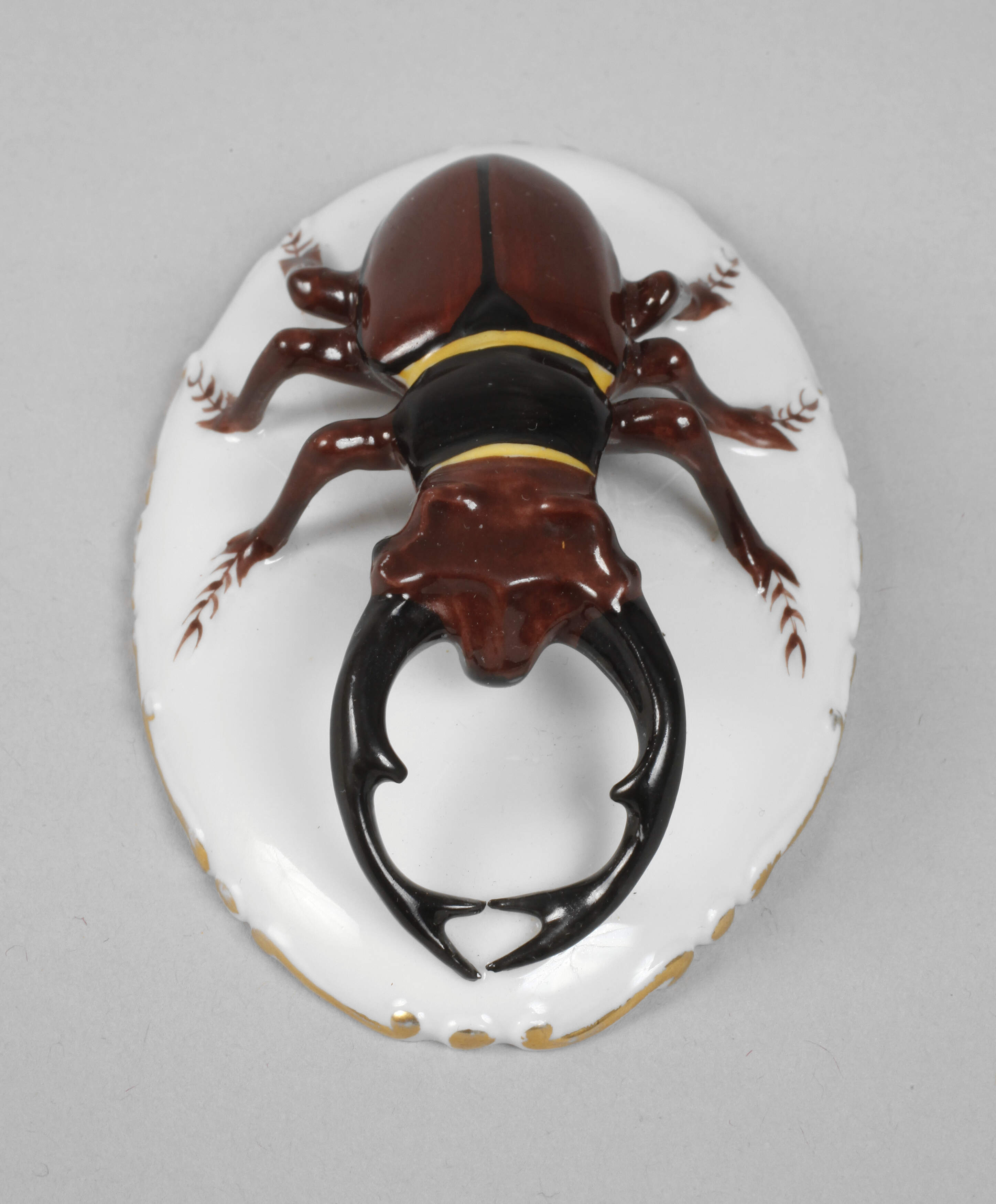 Rosenthal lebensgroßer Hirschkäfer
