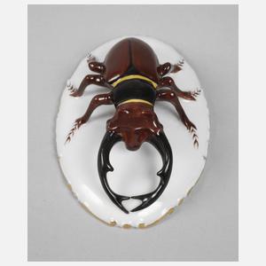 Rosenthal lebensgroßer Hirschkäfer