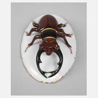 Rosenthal lebensgroßer Hirschkäfer111