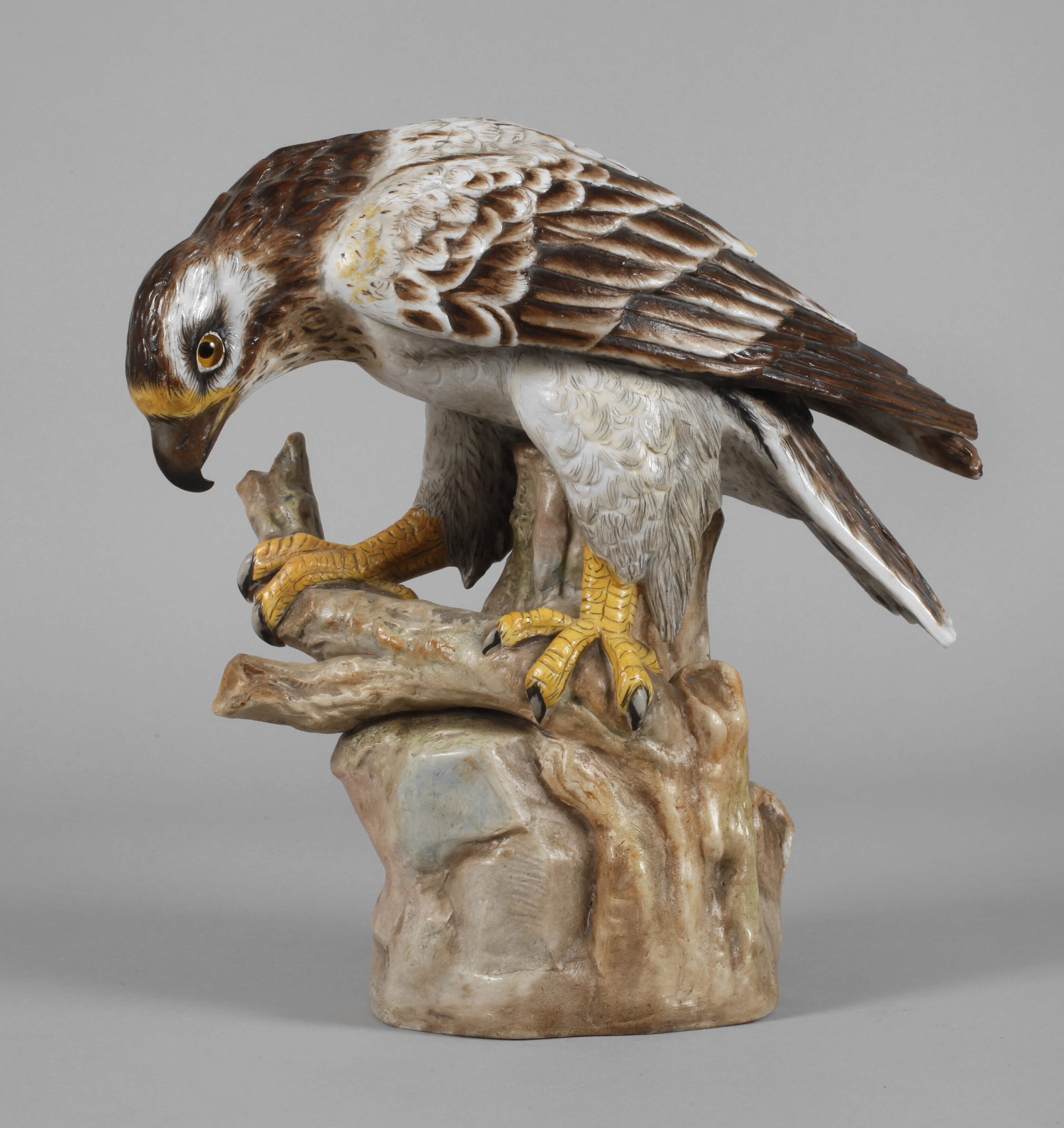 Rudolstadt Habichtsadler