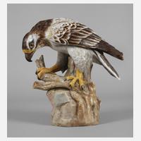 Rudolstadt Habichtsadler111