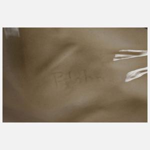 Schierholz Plaue Fuchs