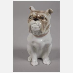 Schierholz Plaue Englische Bulldogge