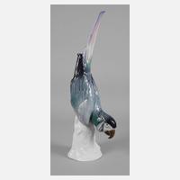 Volkstedt-Rudolstadt lebensgroßer Papagei111