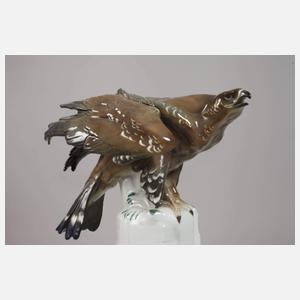 Volkstedt-Rudolstedt „Bussard auf Felsen“