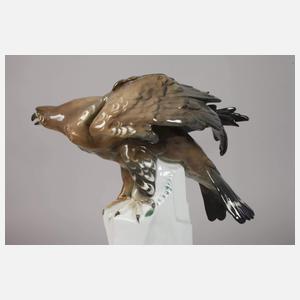 Volkstedt-Rudolstedt „Bussard auf Felsen“