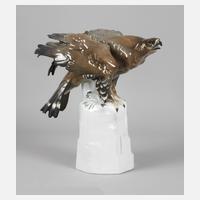 Volkstedt-Rudolstedt „Bussard auf Felsen“111