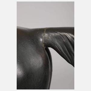 Cerigoli, stehender Hengst