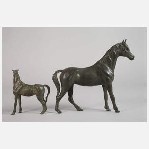 Araberstute mit Fohlen