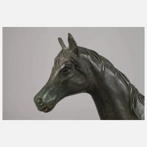 Araberstute mit Fohlen