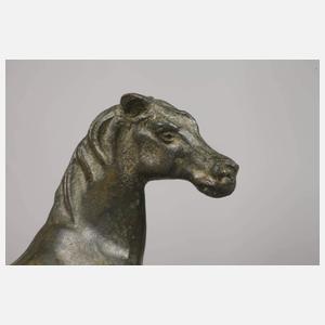 Araberstute mit Fohlen