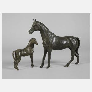 Araberstute mit Fohlen