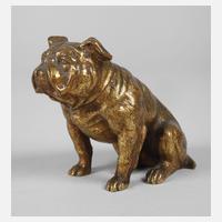 Miniatur einer sitzenden englischen Bulldogge111