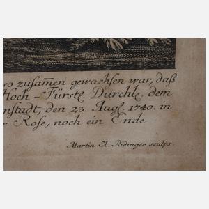 Ridinger, Zwei Graphiken