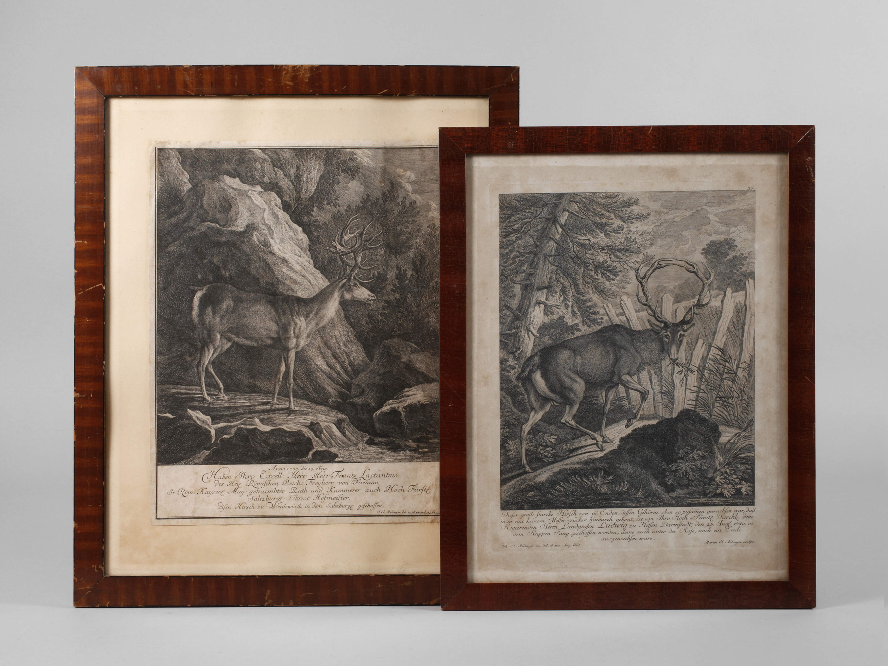 Ridinger, Zwei Graphiken