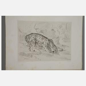 Eugéne Delacroix, Faksimiles