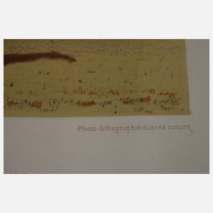 Kassette mit Pferdedarstellungen