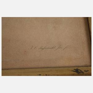 Konvolut Vogeldarstellungen