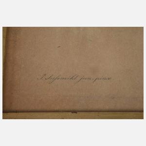 Konvolut Vogeldarstellungen