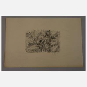 Prof. August Gaul, Konvolut Graphiken