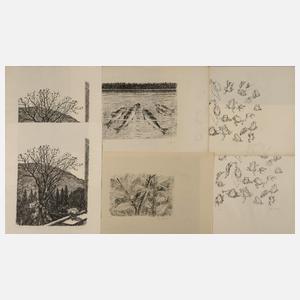 Prof. August Gaul, Konvolut Graphiken