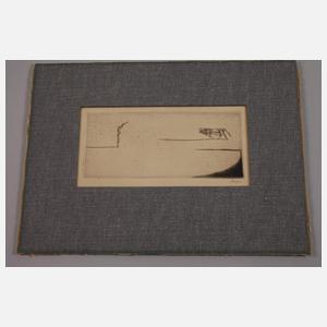 Prof. Willi Geiger, Stierkampf