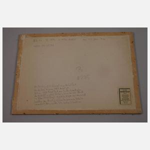 Prof. Willi Geiger, Stierkampf