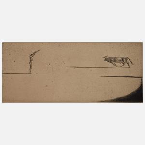 Prof. Willi Geiger, Stierkampf