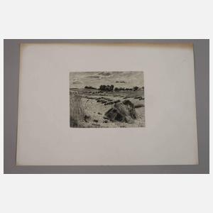 Prof. Theodor Hagen, Spätsommer