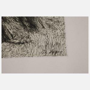 Prof. Theodor Hagen, Spätsommer