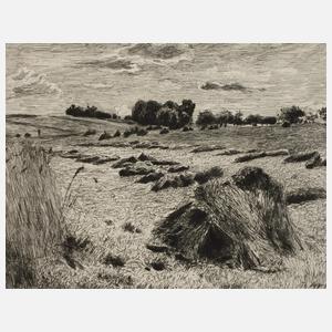 Prof. Theodor Hagen, Spätsommer