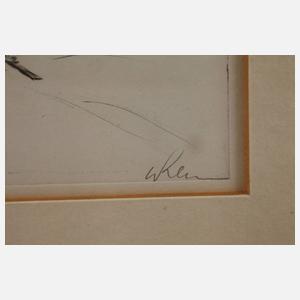 Prof. Walther Klemm, Skifahrer