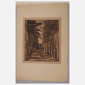 Kurt Kluge, "Waldweg"