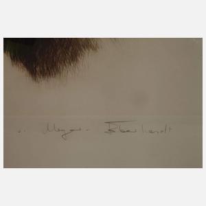 Curt Meyer-Eberhardt, Röhrender Hirsch