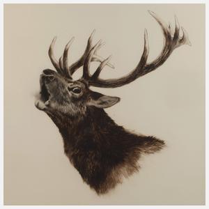 Curt Meyer-Eberhardt, Röhrender Hirsch