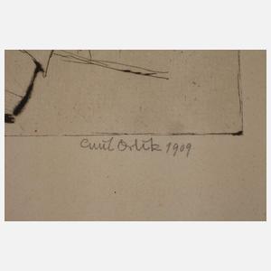 Prof. Emil Orlik, "Der Zoologe Ernst Haeckel"