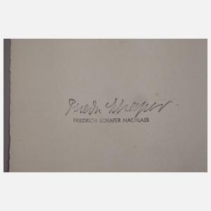 Prof. Friedrich Schaper, Herrenbildnis