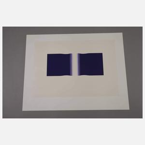 Ronald Matthes, Konvolut Graphik