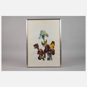 Siegward Sprotte, "Iris"