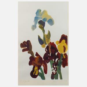 Siegward Sprotte, "Iris"