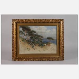 Willem Johannes Martens, An der Küste