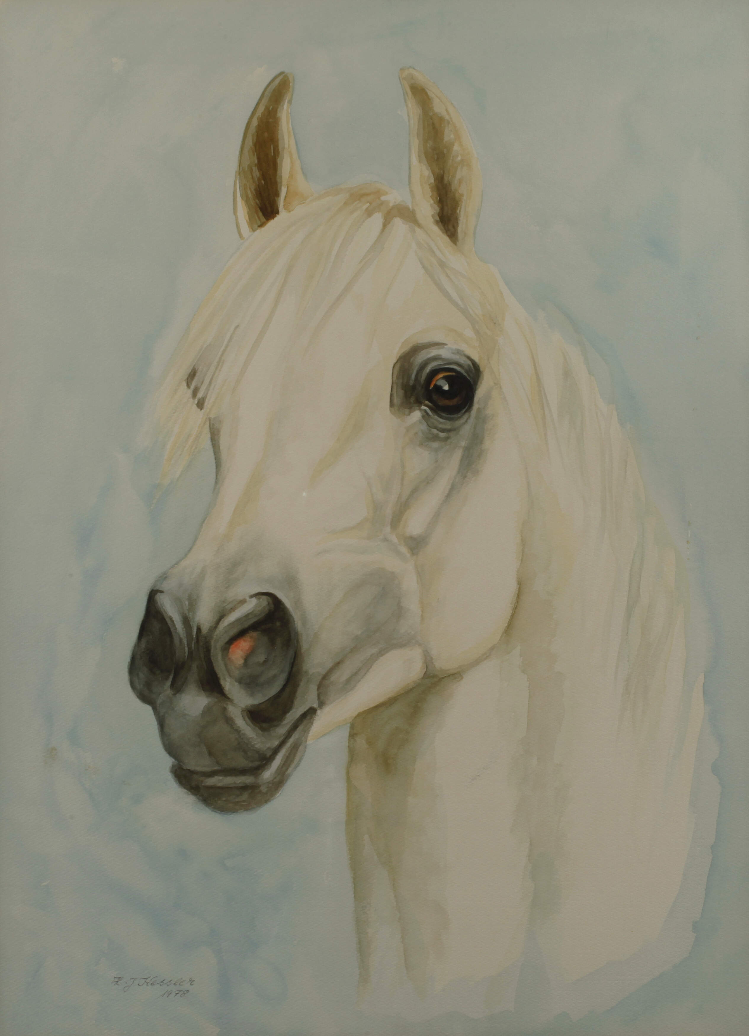 H. J. Kessler, Pferdeportrait